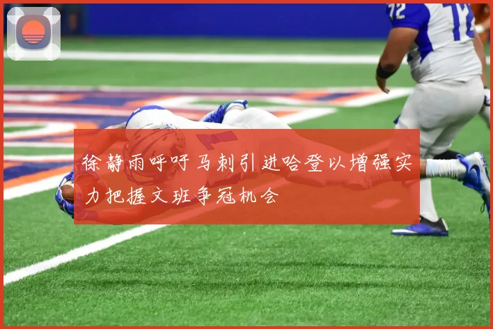 徐静雨呼吁马刺引进哈登以增强实力把握文班争冠机会