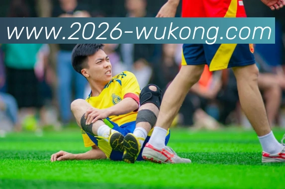 悟空体育平台生态图