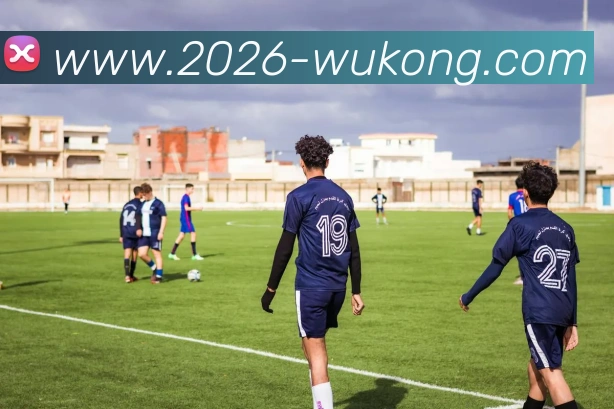 悟空体育APP 封面图